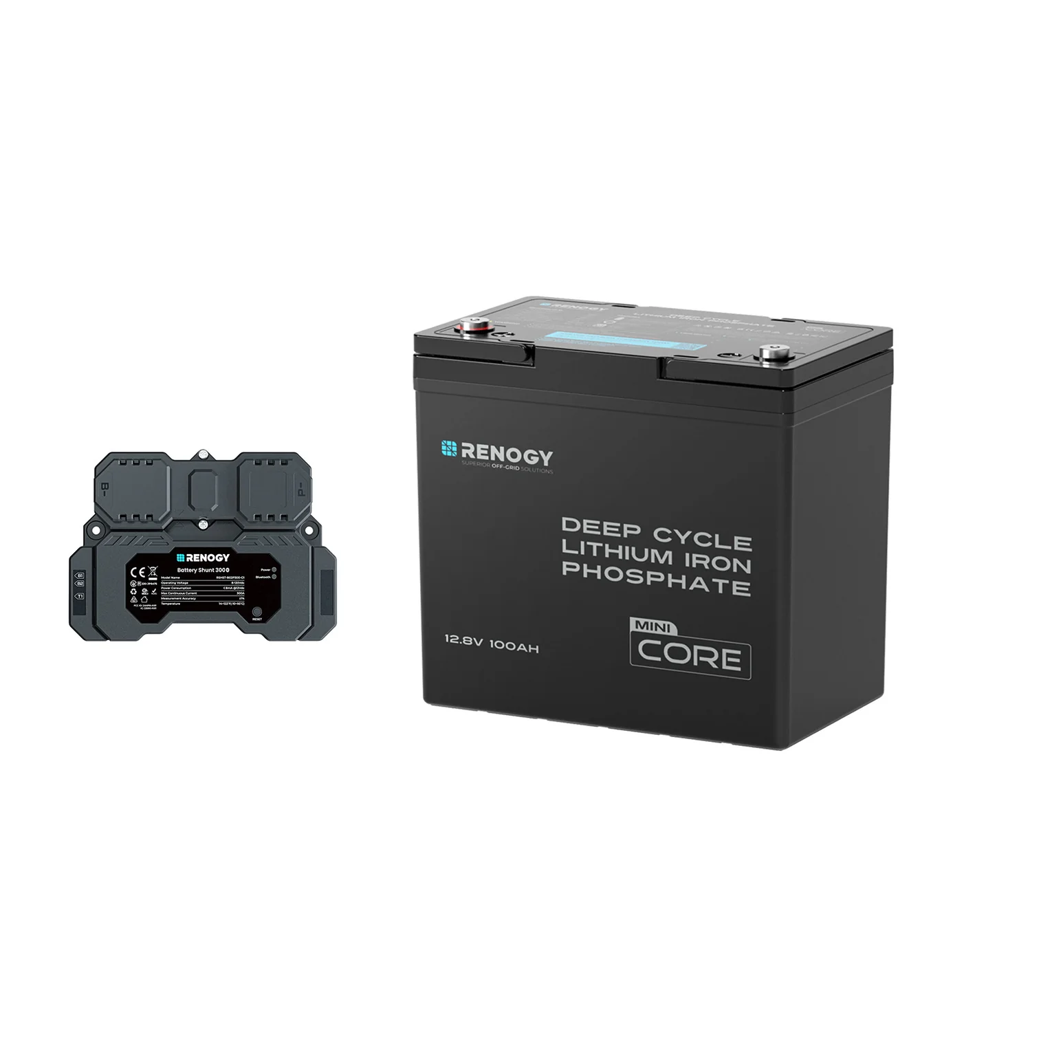 Renogy 12V 100Ah LiFePO4 Lithium Battery